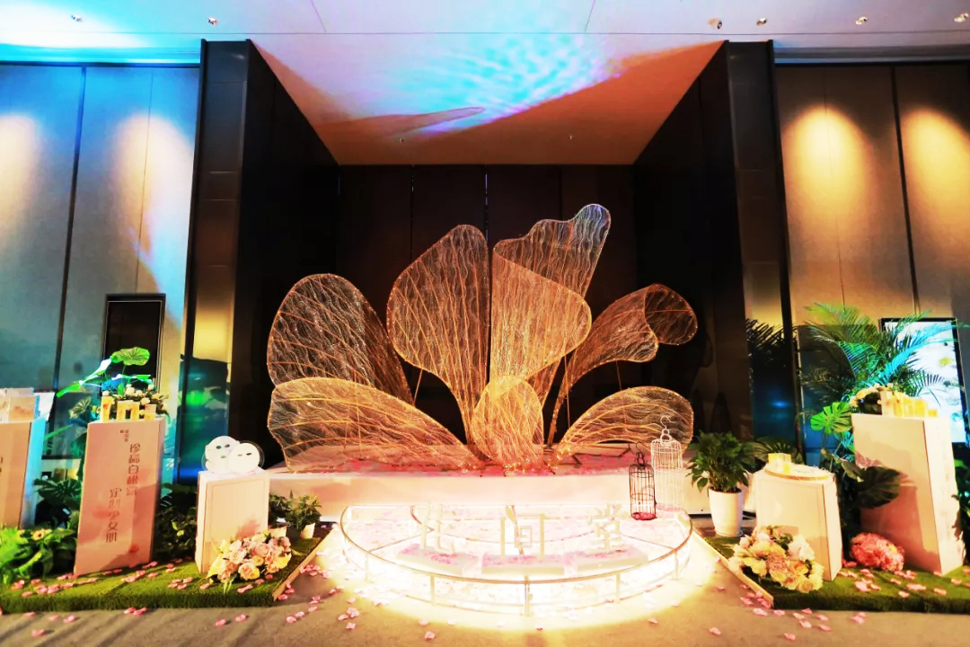 ʲô����d������M��չ�d��d����-2