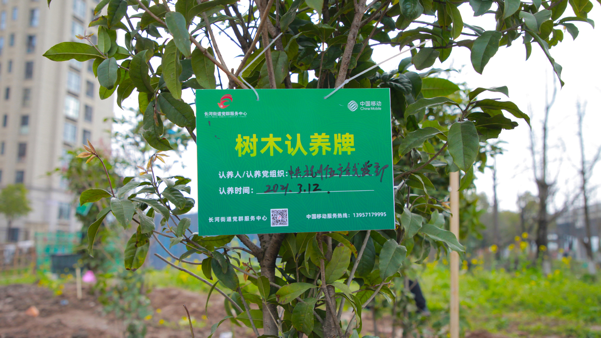 ���h�����I(l��ng)���ľ��� ֲ�乲�������L�ӡ��L���h֧��ֲ�九(ji��)���