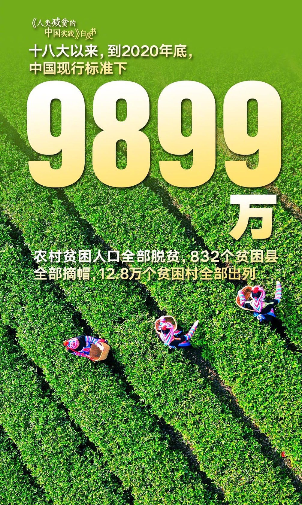 832��ؚ���hȫ��Óؚ