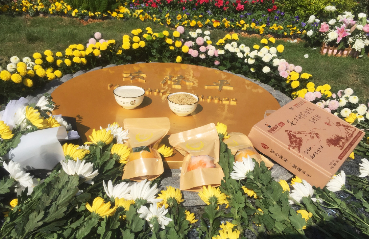 Ԭ¡ƽ��28λԺʿ2021���x�҂���ȥ