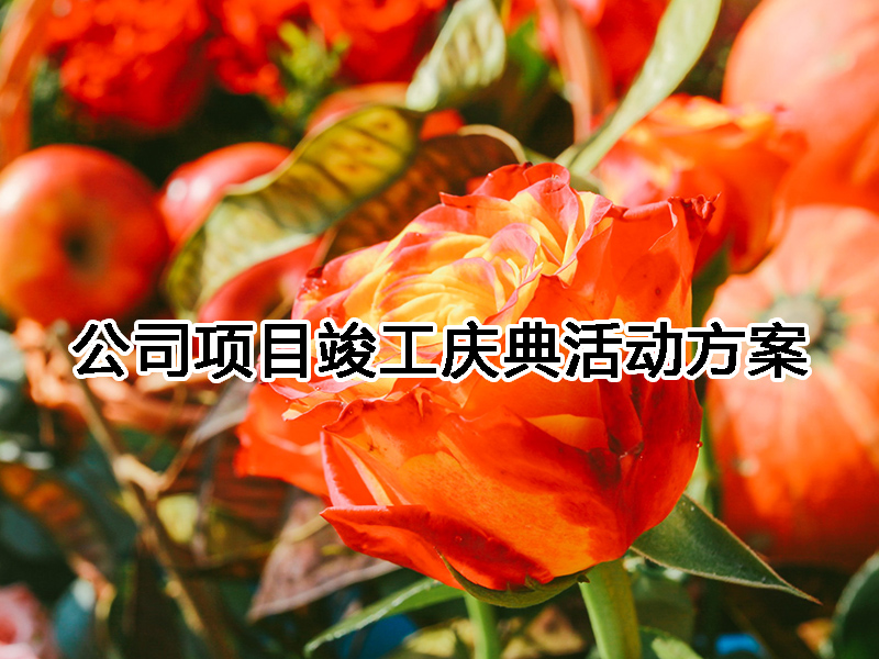 ��˾�(xi��ng)Ŀ�����c����(d��ng)����